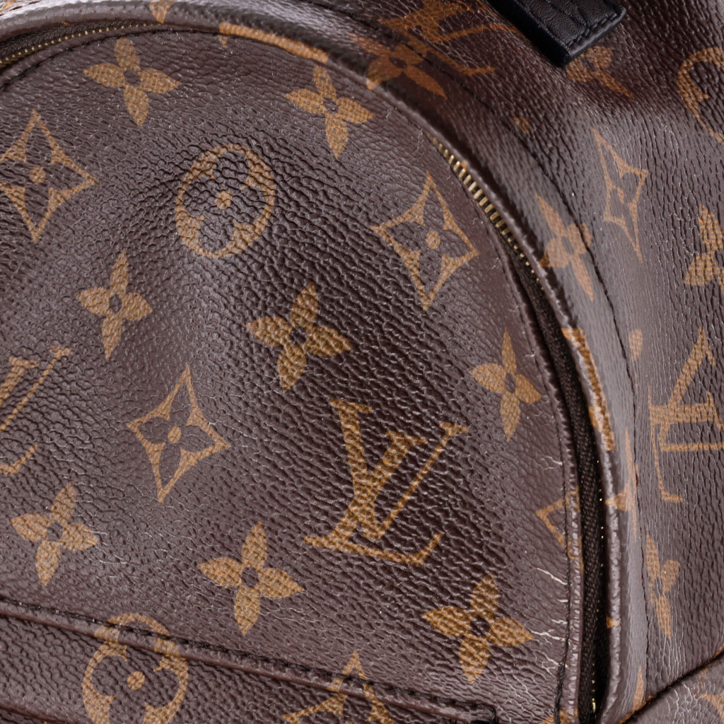 Louis Vuitton Palm Springs Backpack Monogram Canvas Mini
