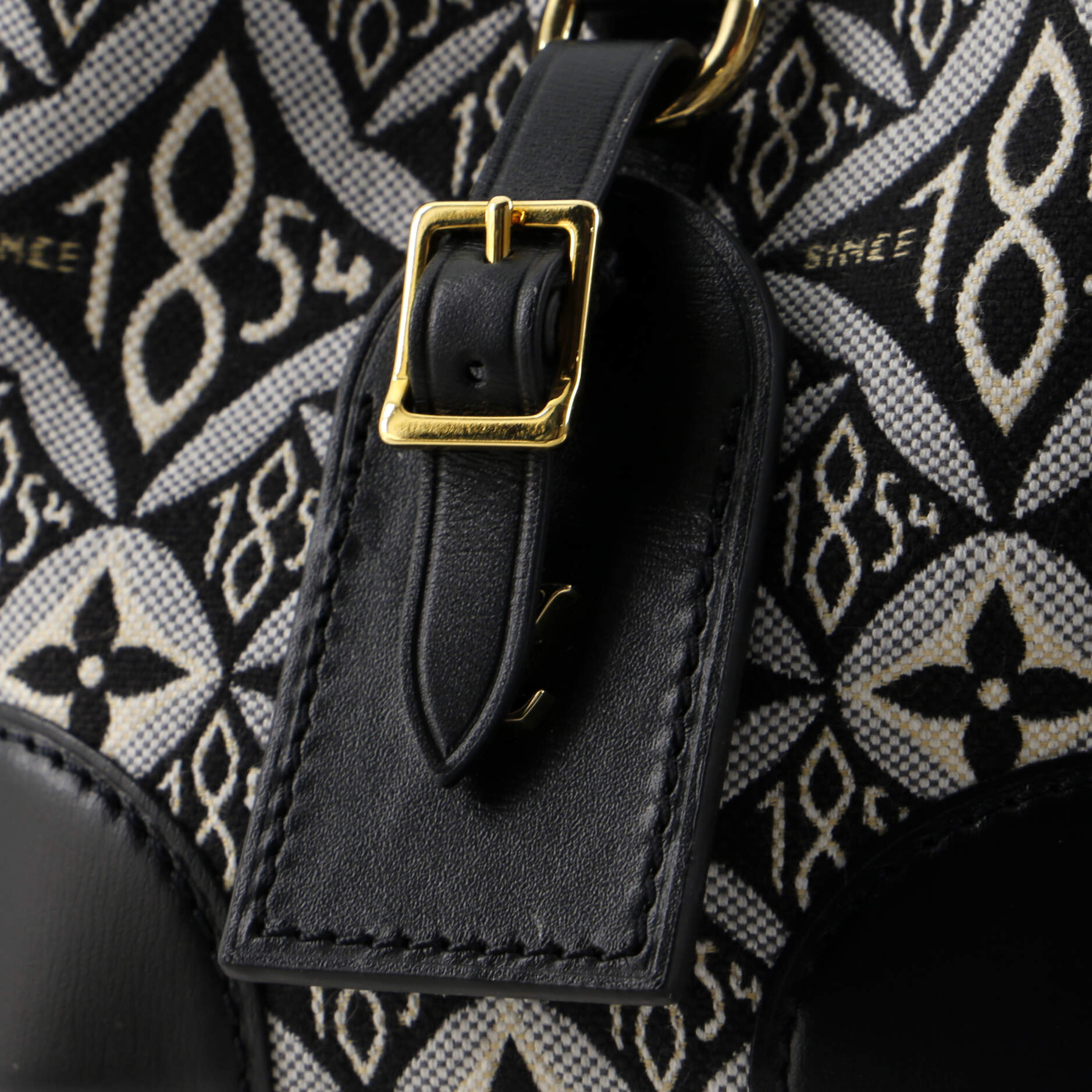 Louis Vuitton Noe Purse Limited Edition Since 1854 Monogram Jacquard