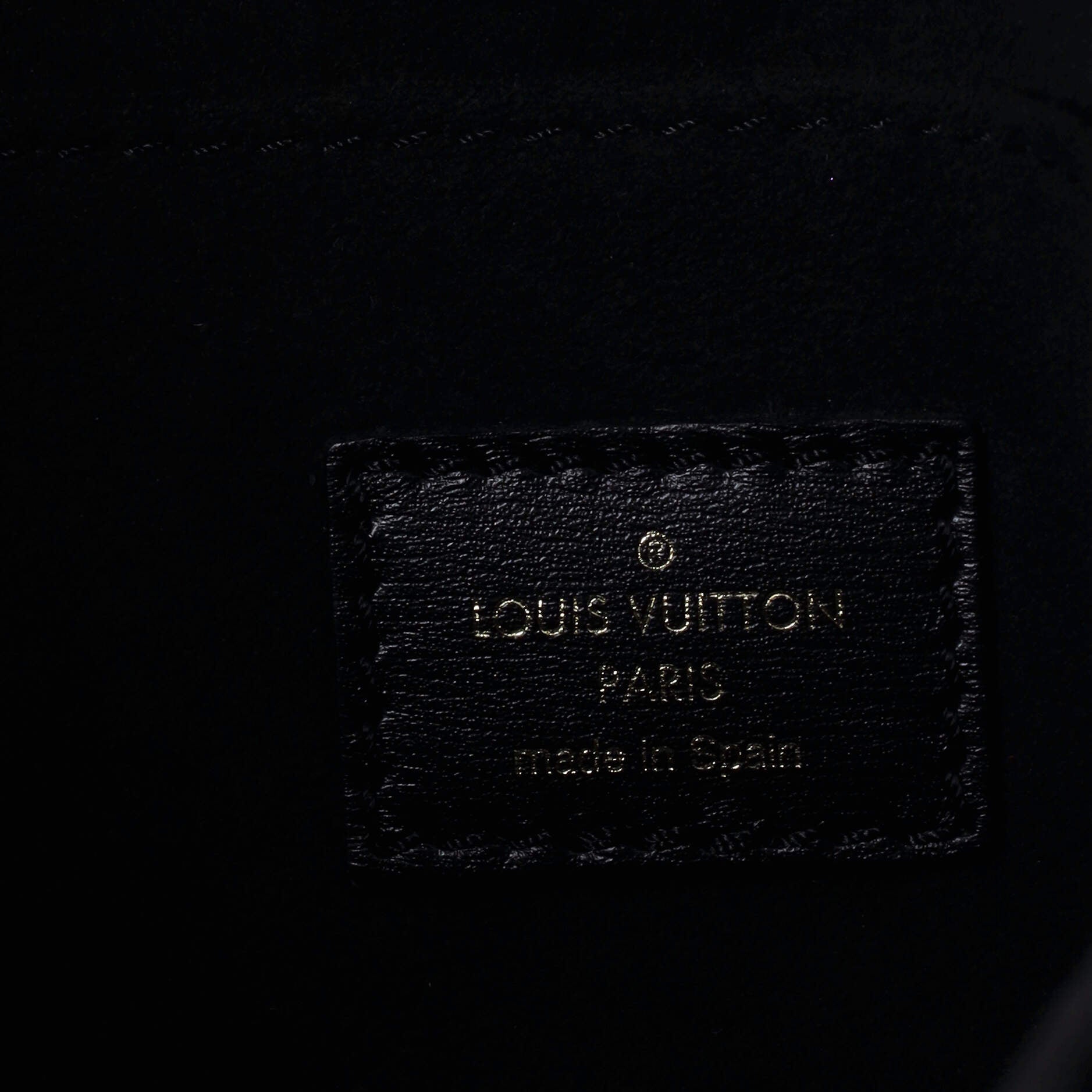 Louis Vuitton Dauphine Shoulder Bag Limited Edition Since 1854 Monogram Jacquard MM