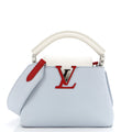 Louis Vuitton Capucines Bag Leather Mini
