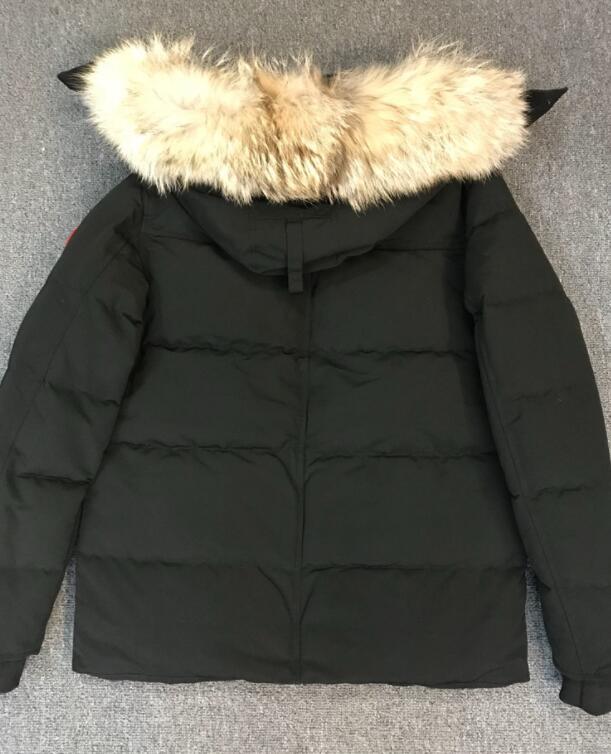 SAMC - Mix Jackets - 721