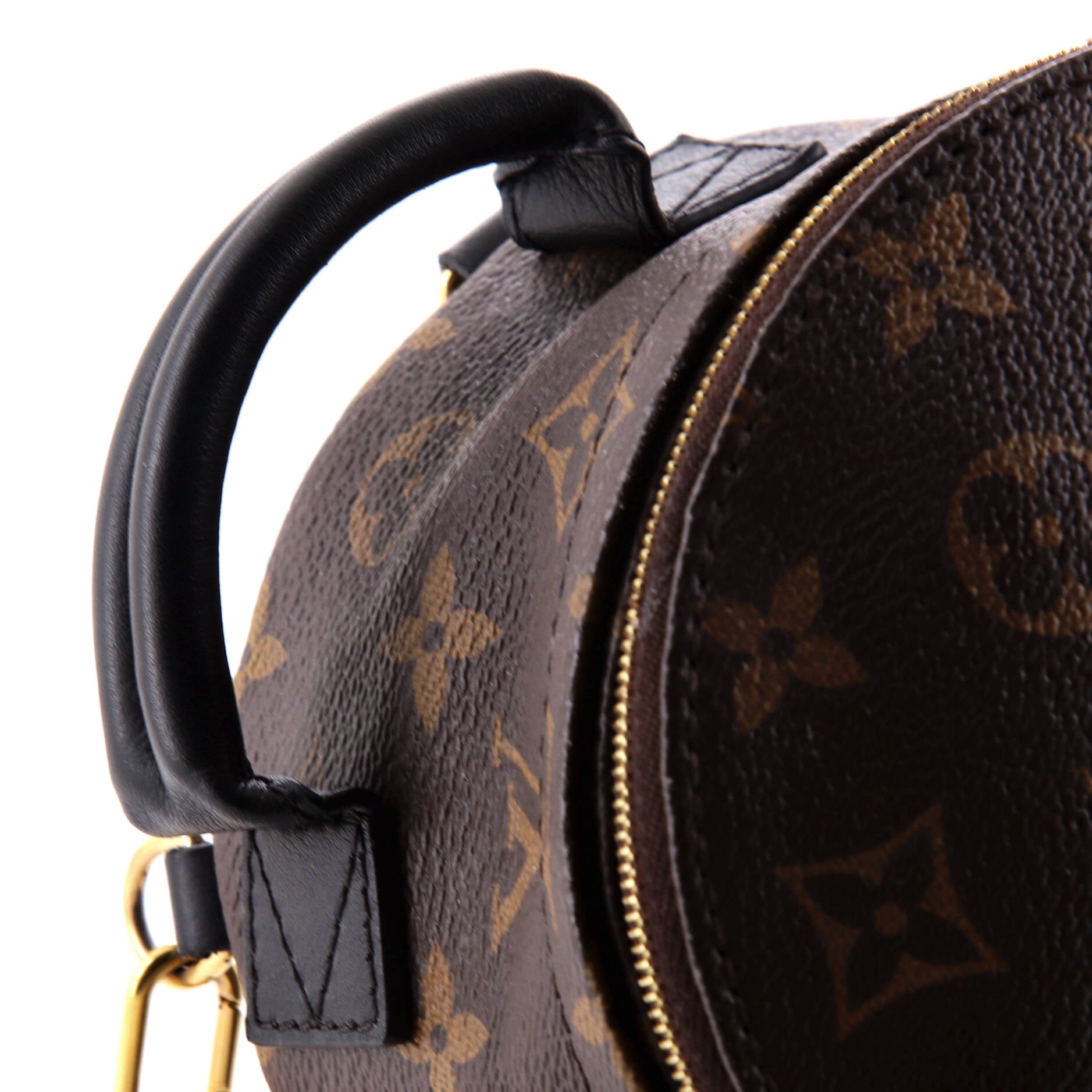 Louis Vuitton Palm Springs Backpack Monogram Canvas Mini
