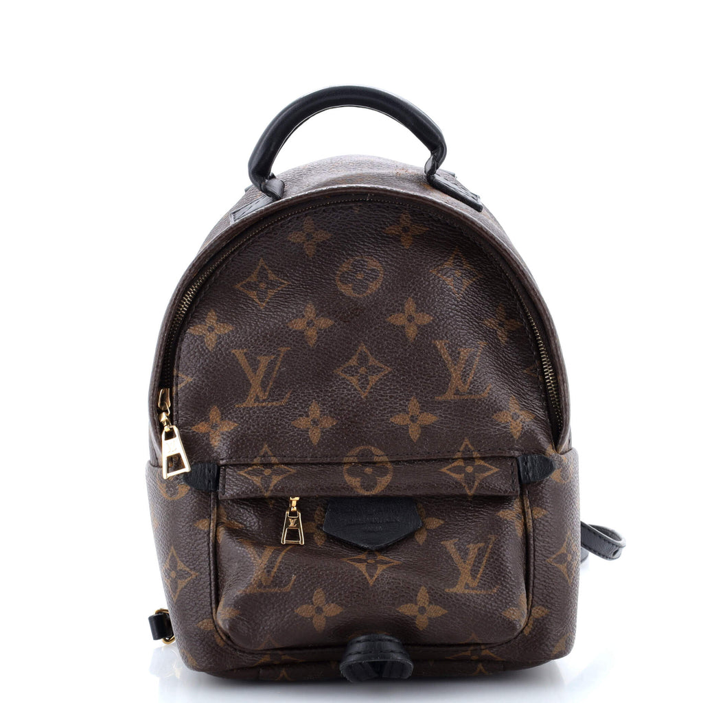 Louis Vuitton Palm Springs Backpack Monogram Canvas Mini