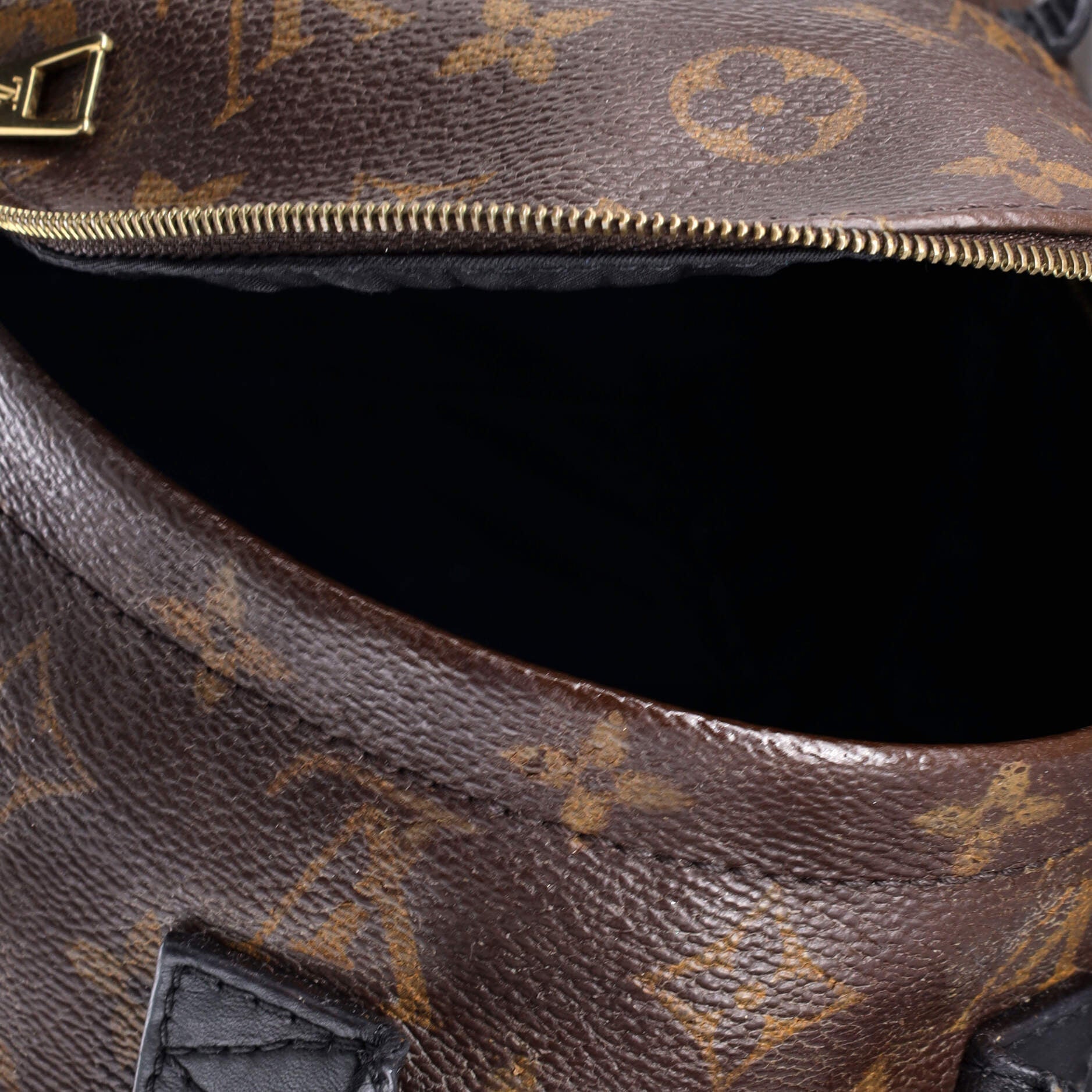 Louis Vuitton Palm Springs Backpack Monogram Canvas Mini