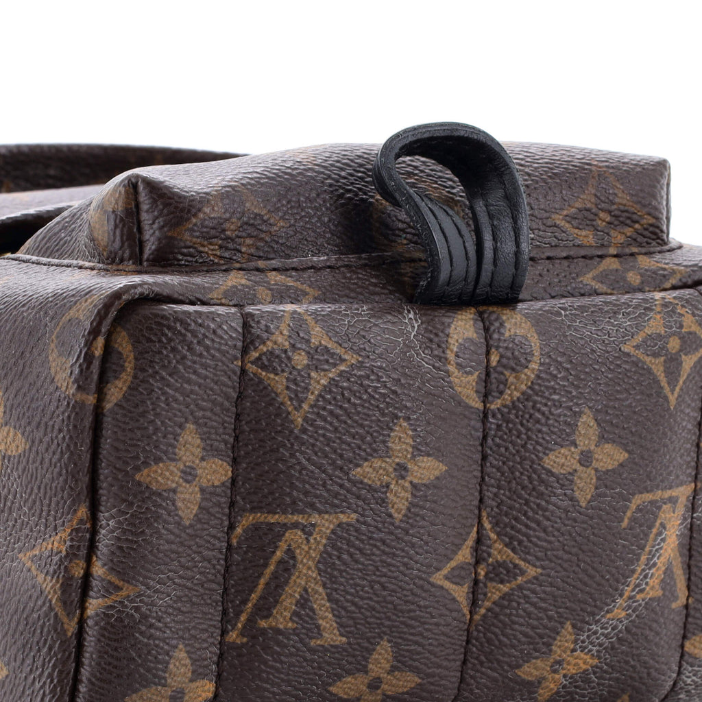 Louis Vuitton Palm Springs Backpack Monogram Canvas Mini