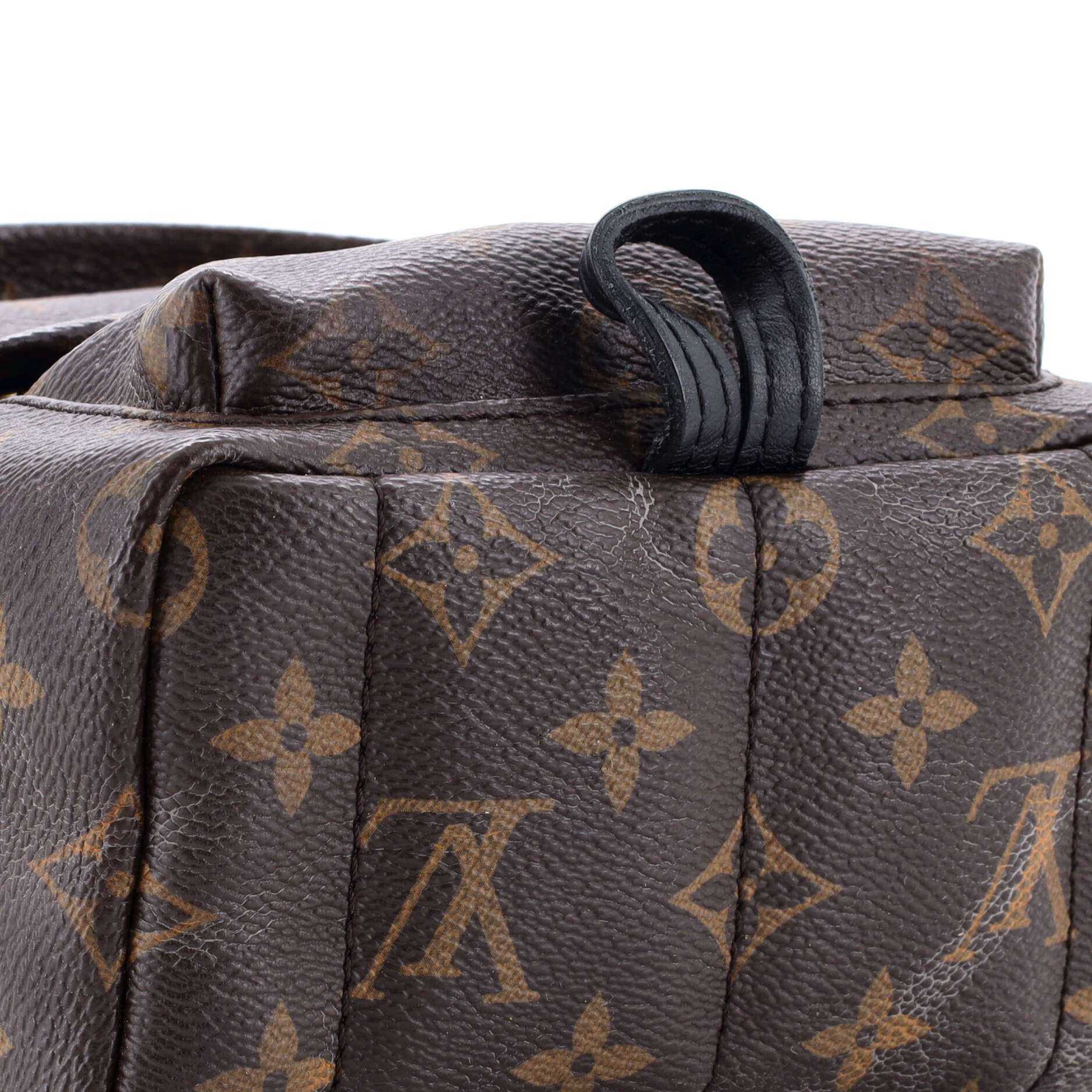 Louis Vuitton Palm Springs Backpack Monogram Canvas Mini
