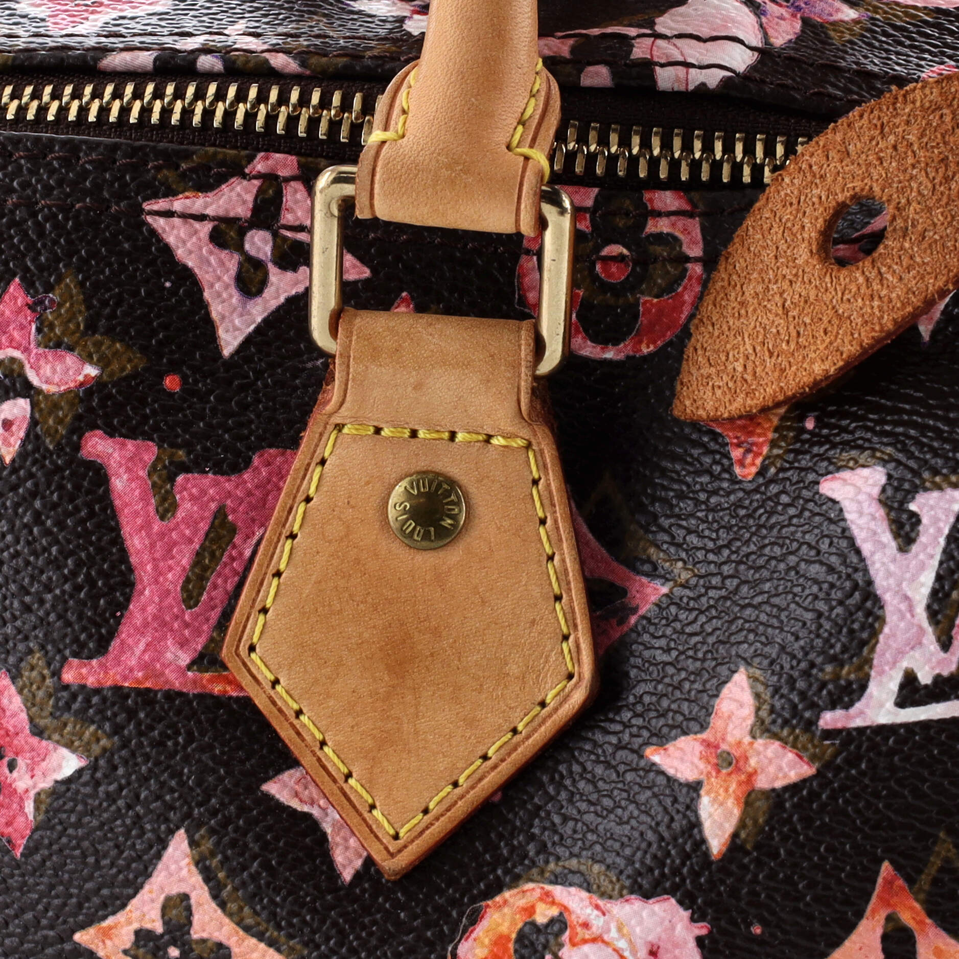 Louis Vuitton Speedy Handbag Monogram Watercolor Aquarelle 35