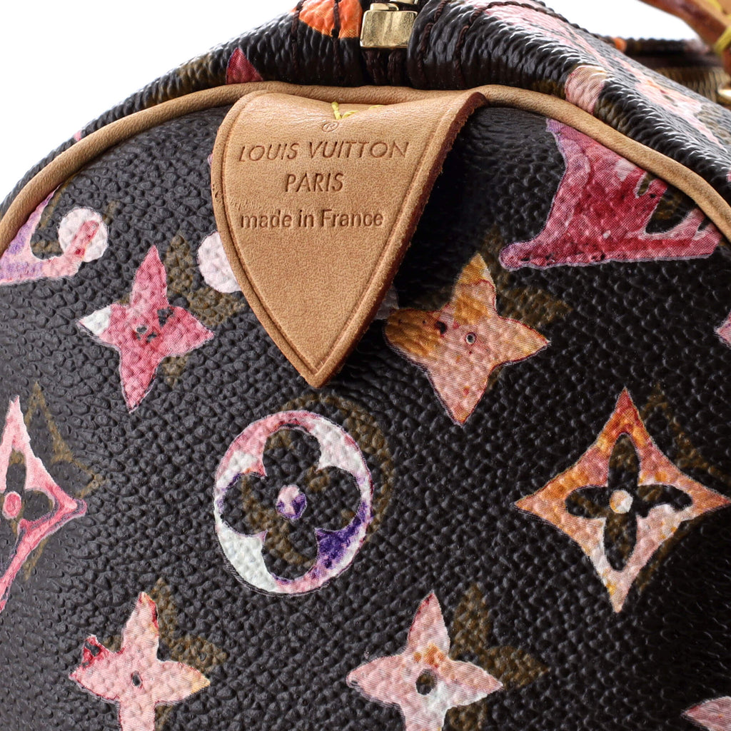 Louis Vuitton Speedy Handbag Monogram Watercolor Aquarelle 35