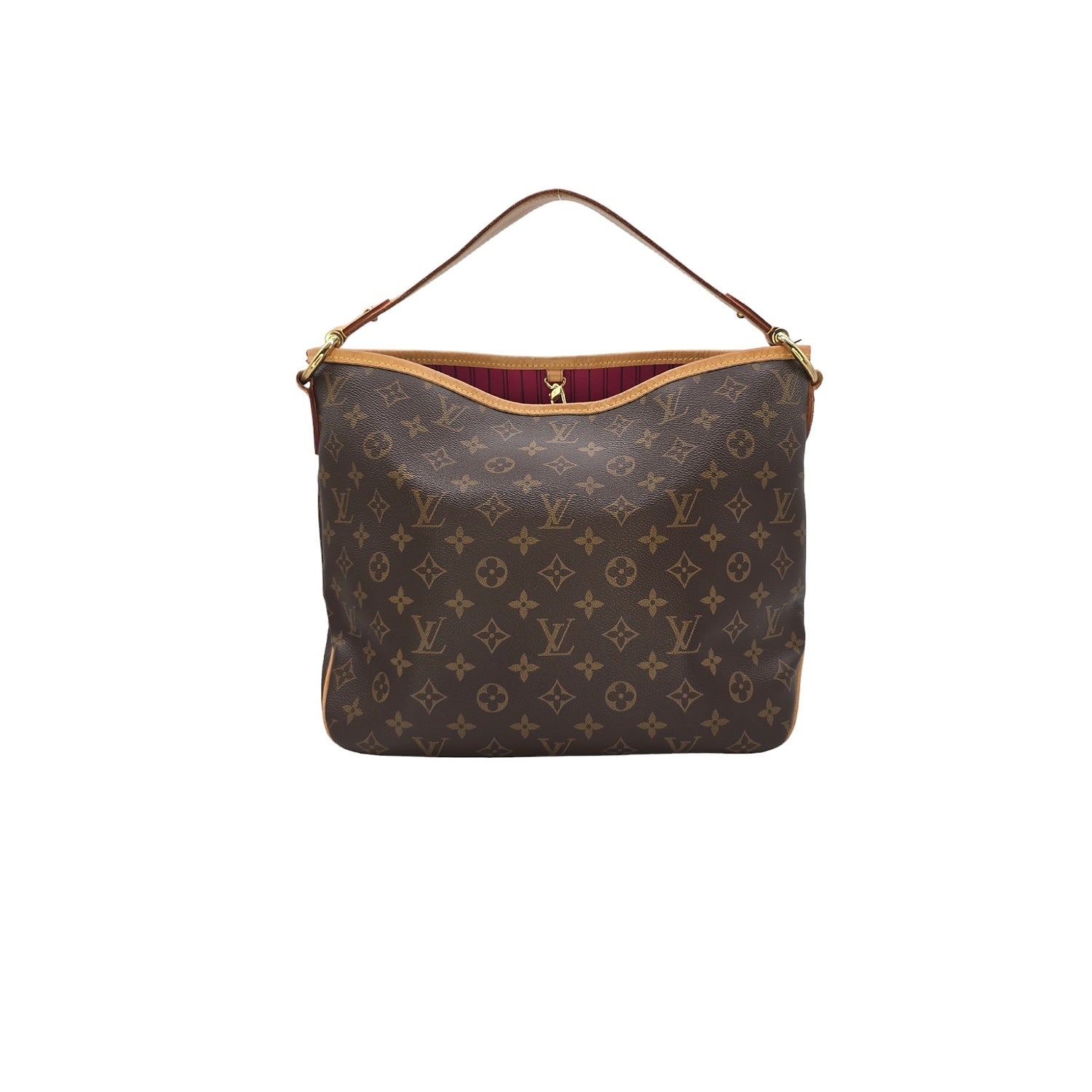 Louis Vuitton Monogram Delightful Hobo PM