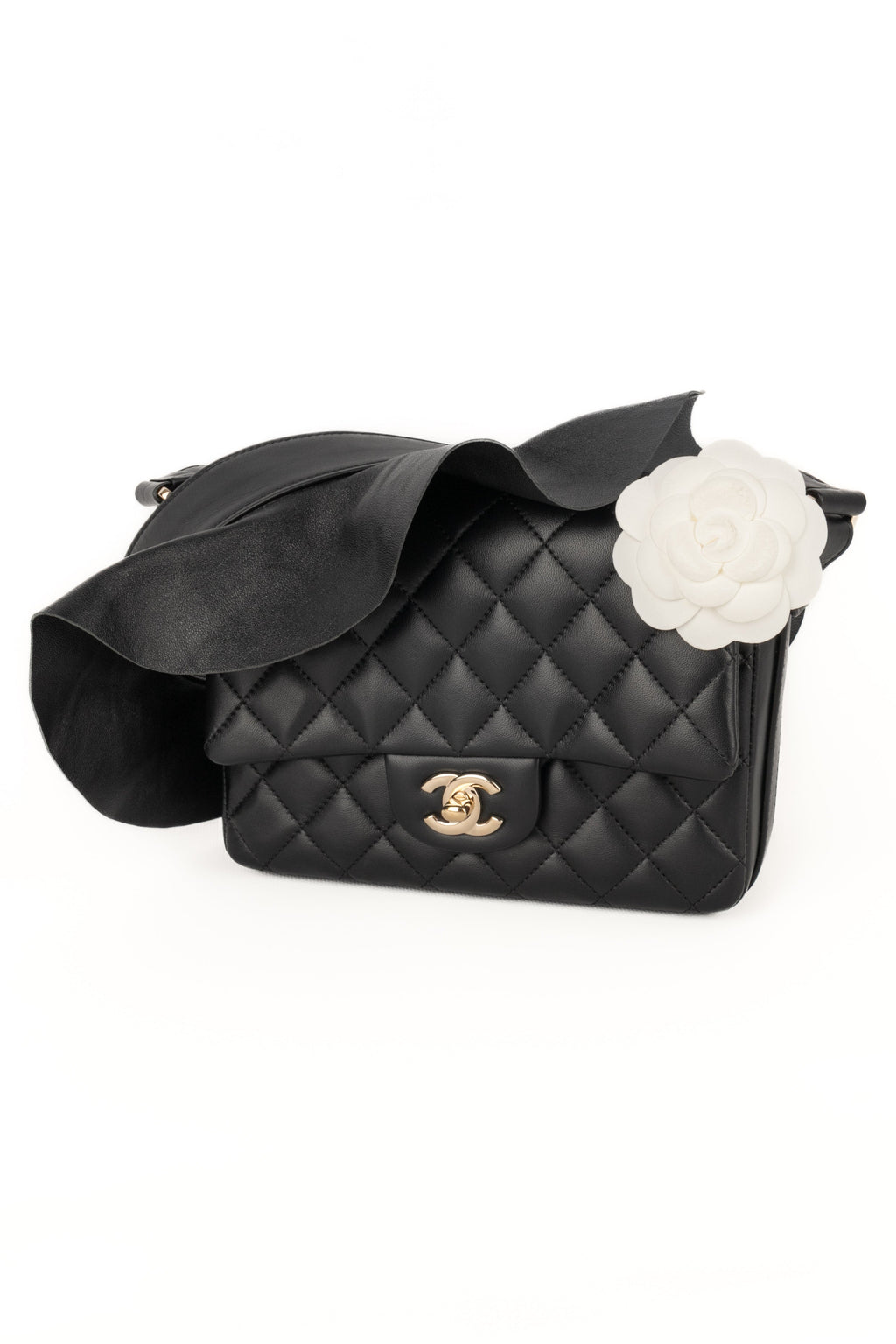 Sac bandoulière Chanel 2019