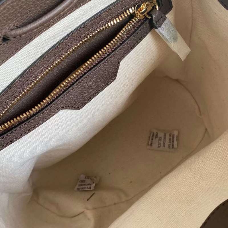 GUI2 Bags - Luxurious Bags  579