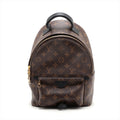 Louis Vuitton Monogram Palm Springs Bag Pack MM M44871