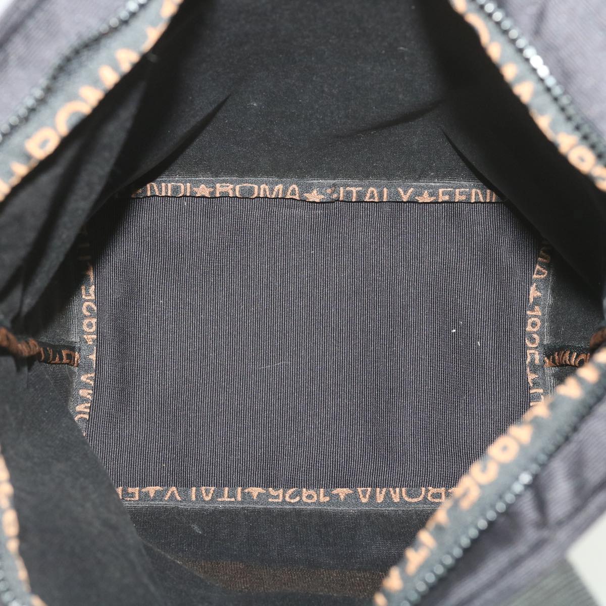 FENDI Hand Bag Nylon Black Brown 38483