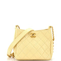 CHANEL Mixed Chain Link CC Hobo Quilted Lambskin Small