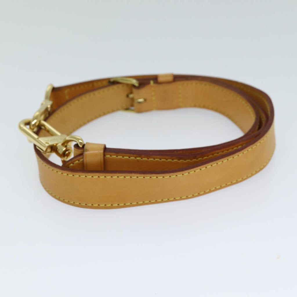 Louis Vuitton Bandouliere de sac Bag