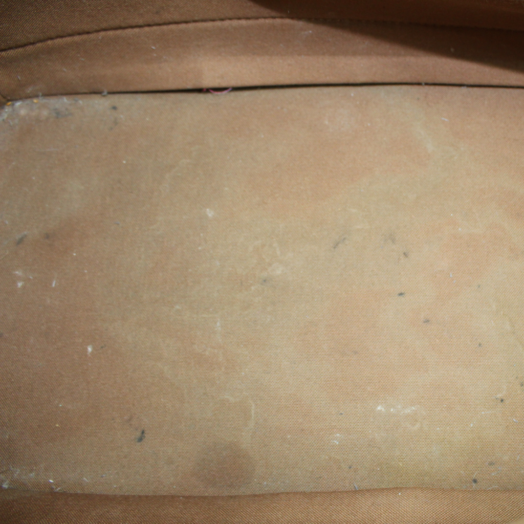 Louis Vuitton Alma GM Top Handle Bag