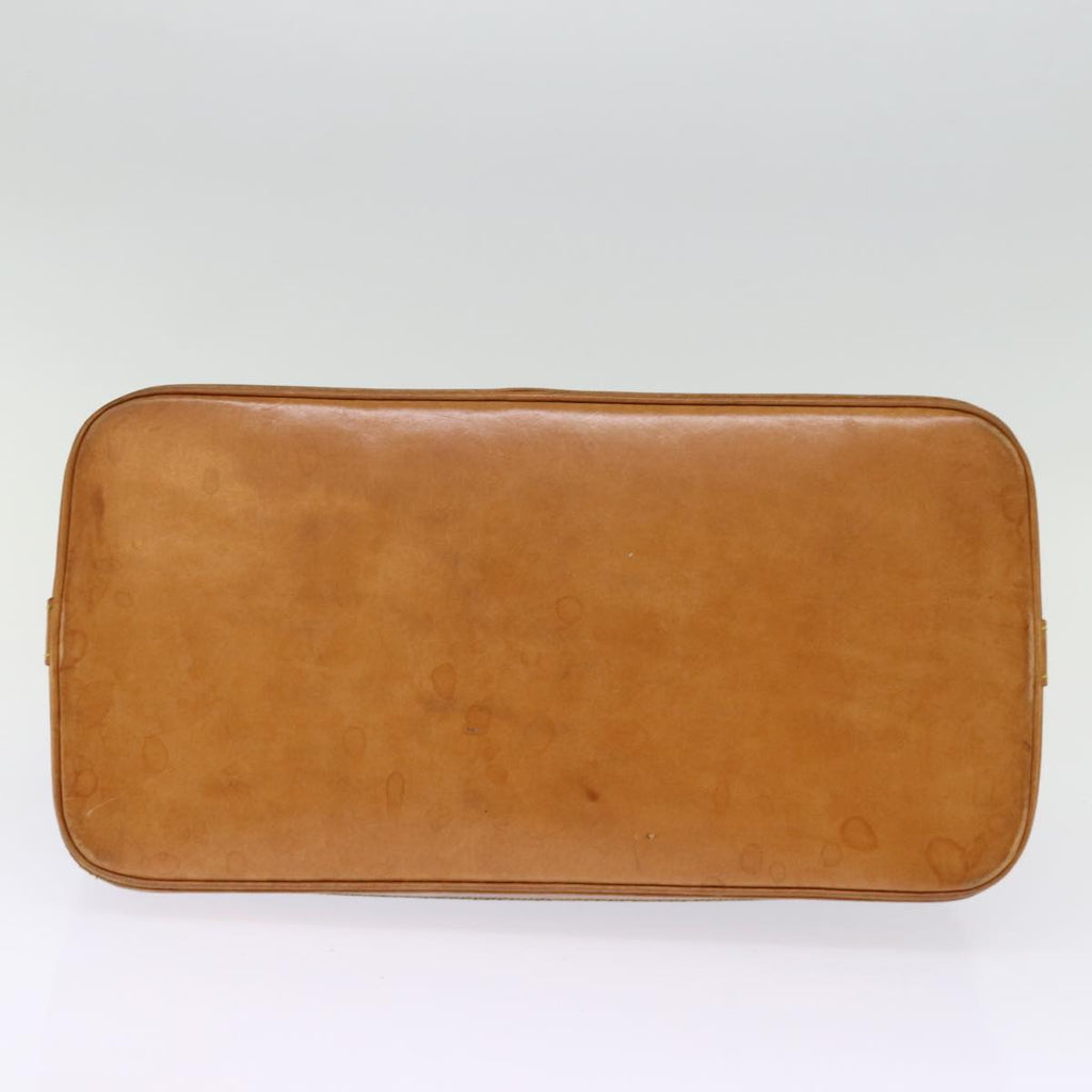 Louis Vuitton Alma Handbag