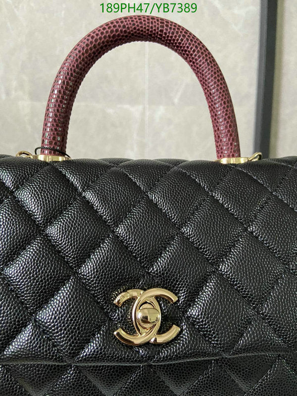 SAMC - CHL Bags - 744