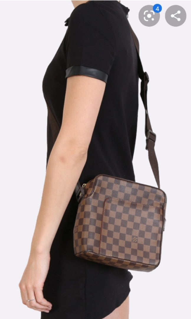 Louis Vuitton Olav PM Damier Ebene
