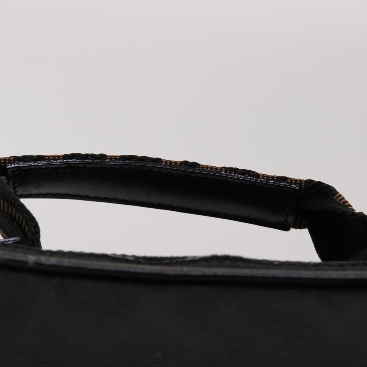 FENDI Pouch Nylon Leather Black 45724