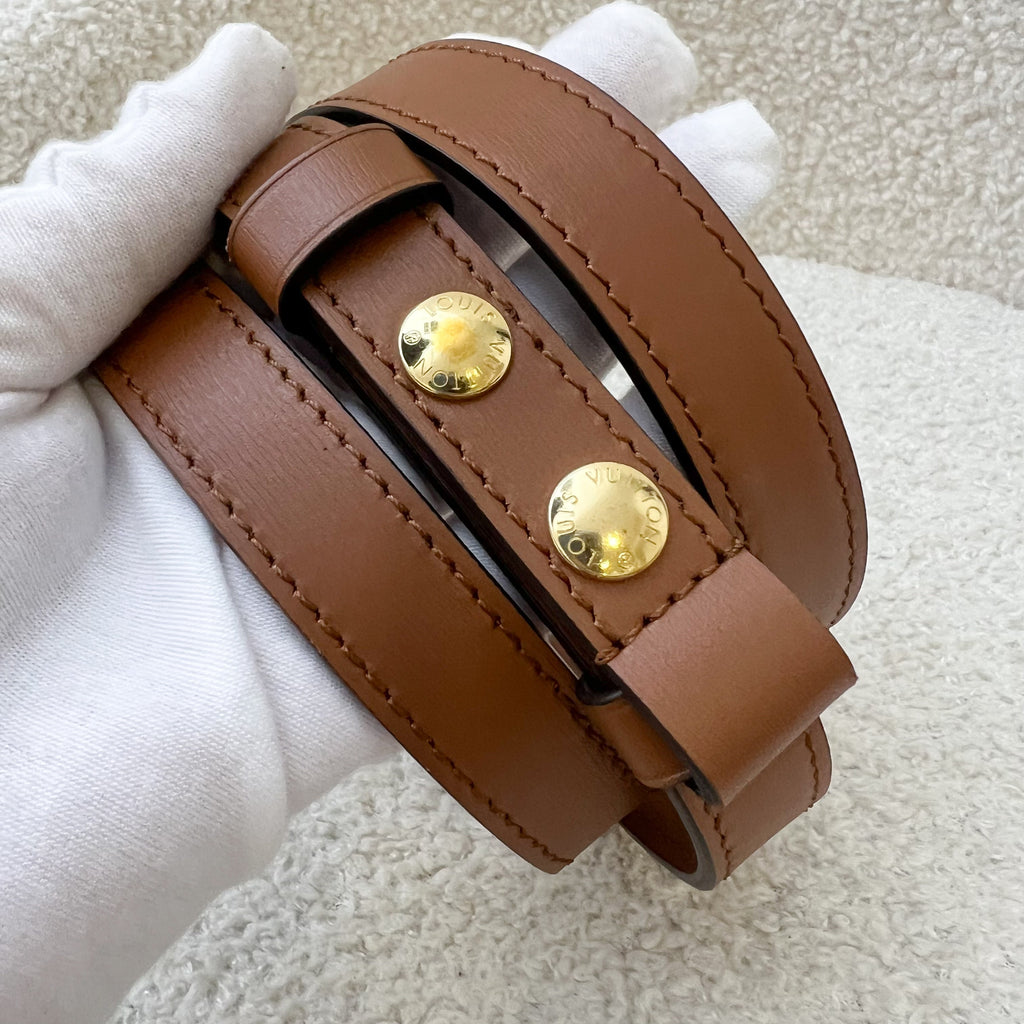 LV Mini Dauphine in Reverse Monogram, Monogram Canvas and GHW