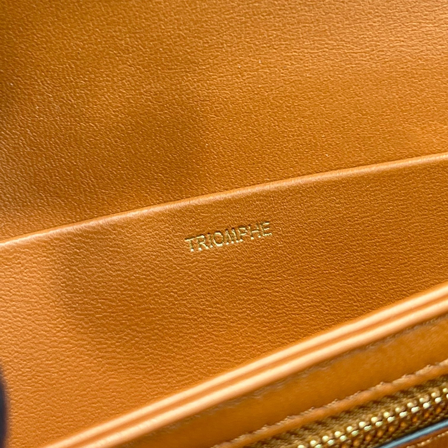 GLAMI Classique Cuir Triomphe Bag Tan For Women 9in/22cm 199223BFN.04LU
