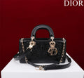 BLUSH BAGZ - Dior Bags - 123