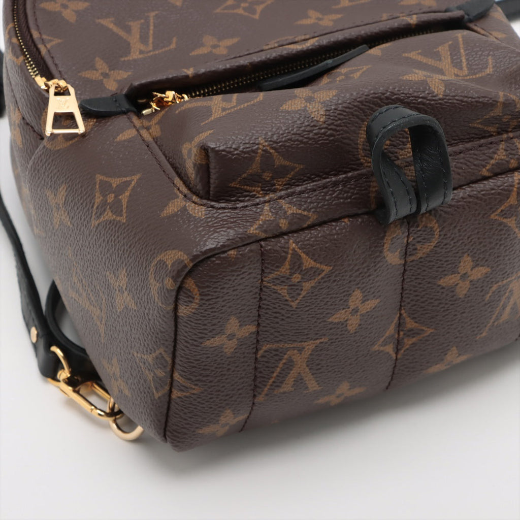 Louis Vuitton Monogram Palm Springs MINI M41562
