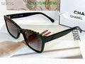 SAMC - CHL Glasses - 287