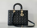 BLUSH BAGZ - Dior Bags - 1858