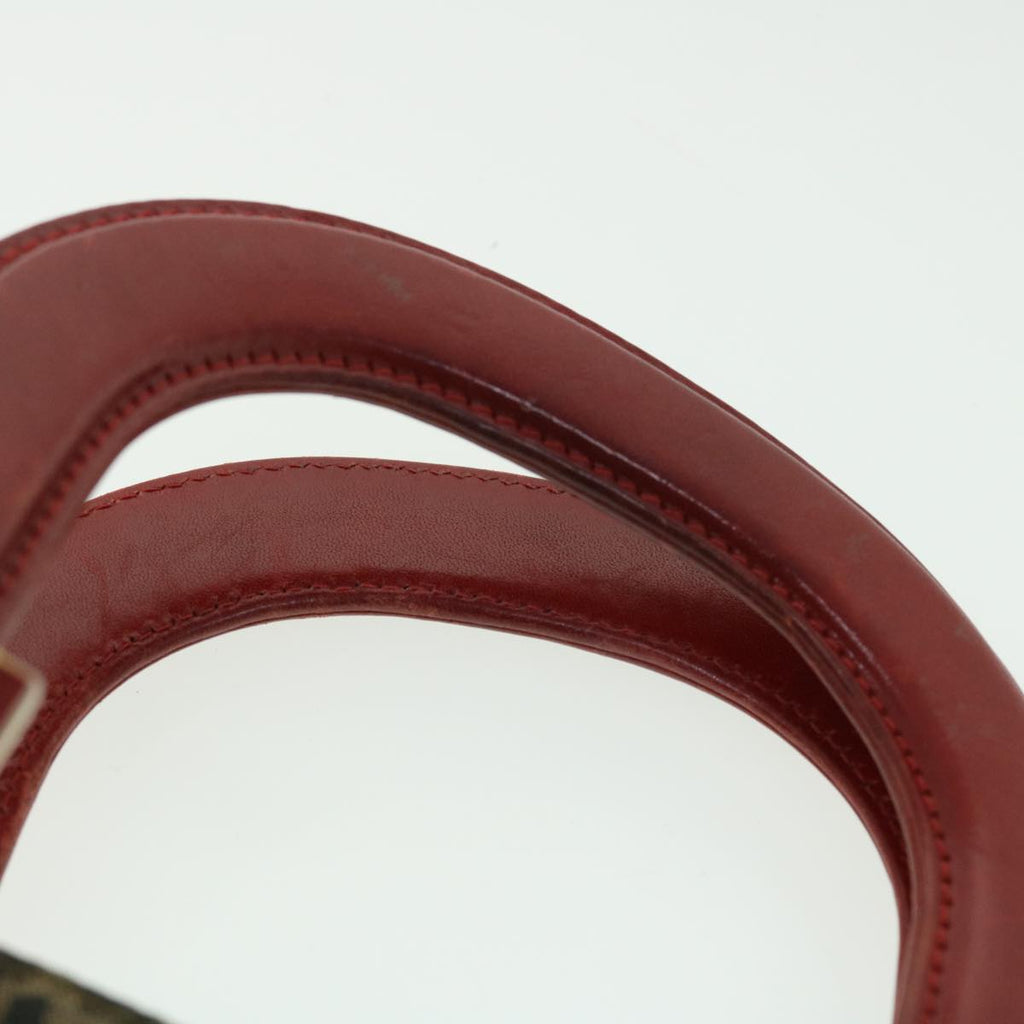 FENDI Leopard Hand Bag Nylon Leather Brown Red 50533