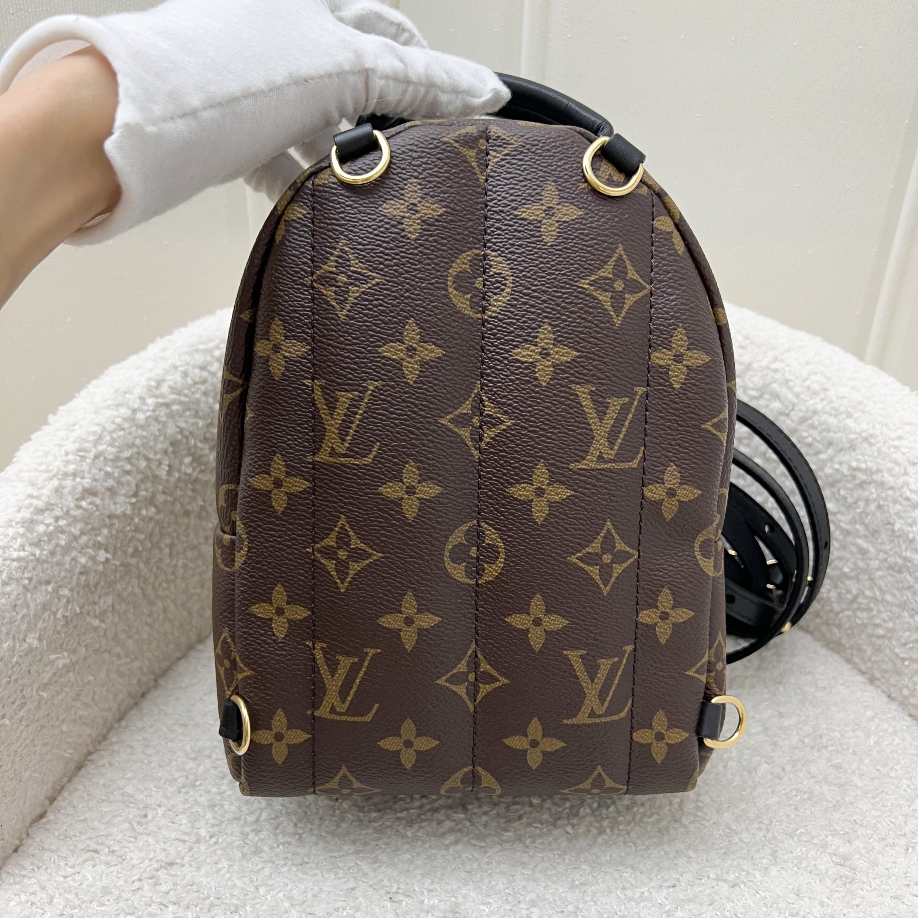 LV Palm Springs Mini Backpack in Monogram Canvas and GHW