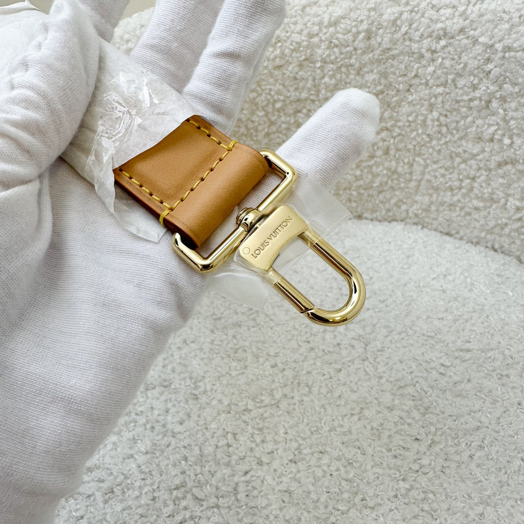 LV Side Trunk PM Bag in Monogram Canvas and GHW