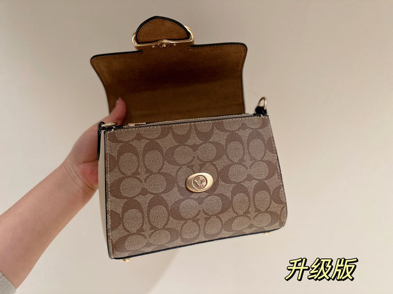 Satchel Bags - CCH Bags - 401