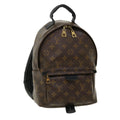 Louis Vuitton Monogram Palm Springs Pm Backpack