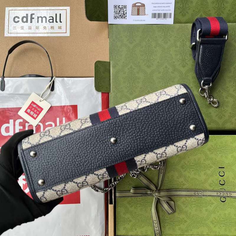 GUI2 Bags - Fashion Bags  458