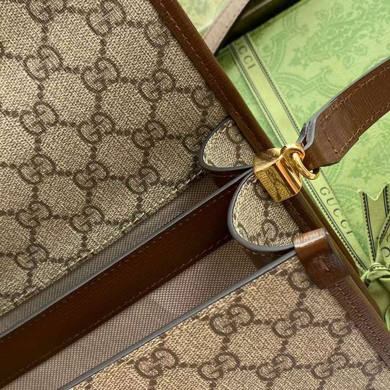GUI2 Bags - Luxurious Bags  668