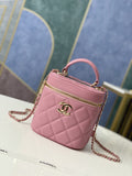 CHLVanity Case Gold Hardware PiNike For Women, Women’s Handbags, Shoulder Bags 9.4in/24cm