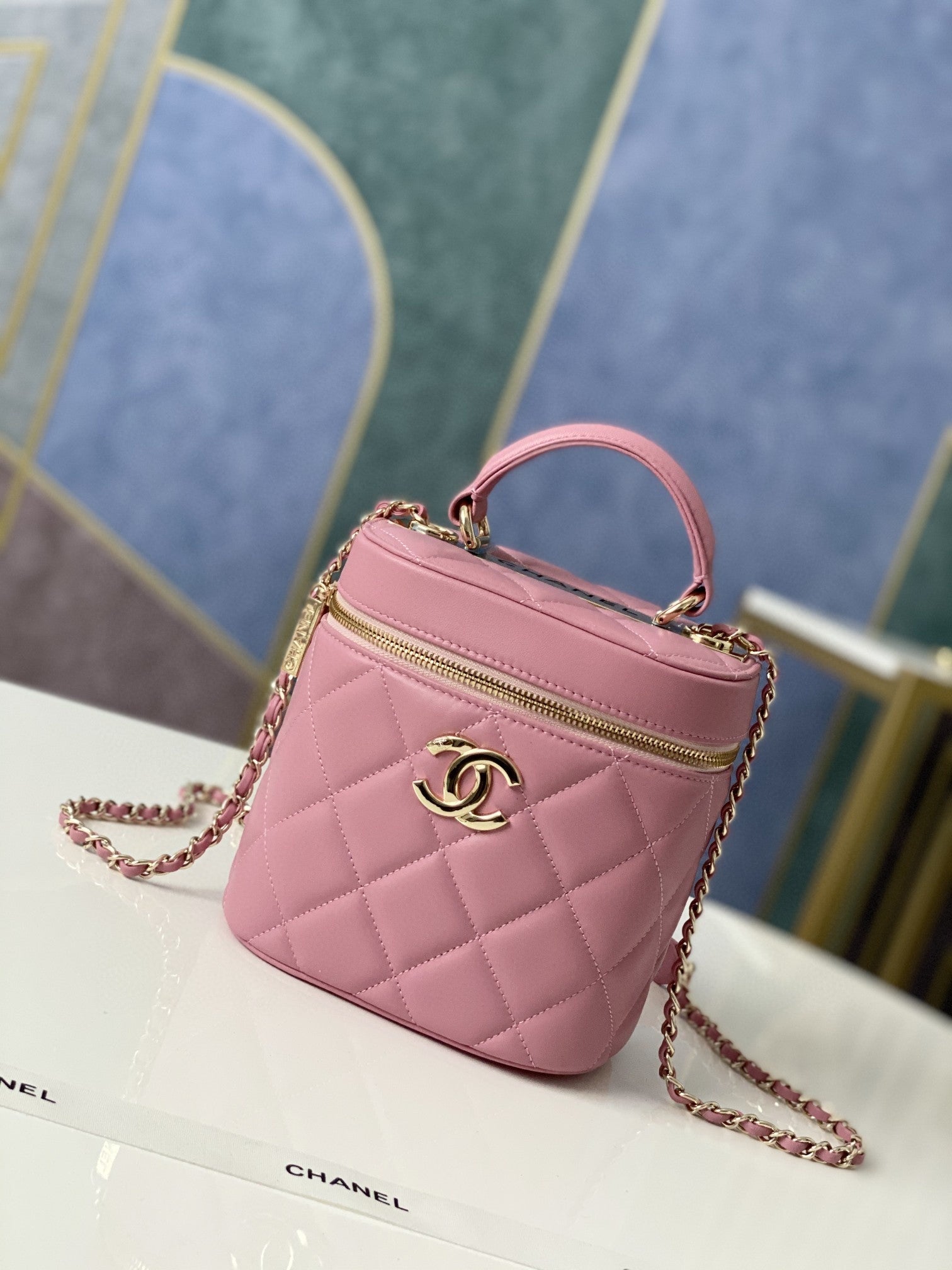 CHLVanity Case Gold Hardware PiNike For Women, Women’s Handbags, Shoulder Bags 9.4in/24cm