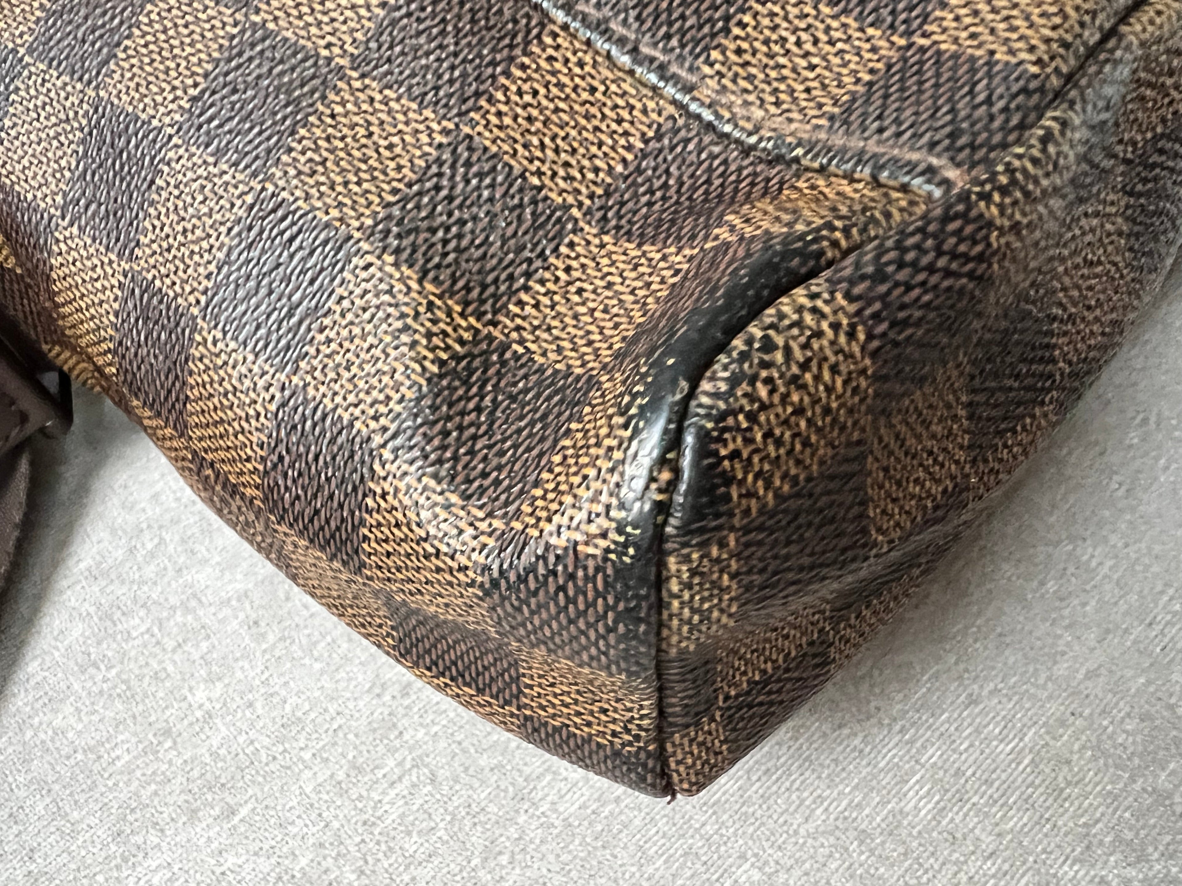 Louis Vuitton Olav PM Damier Ebene