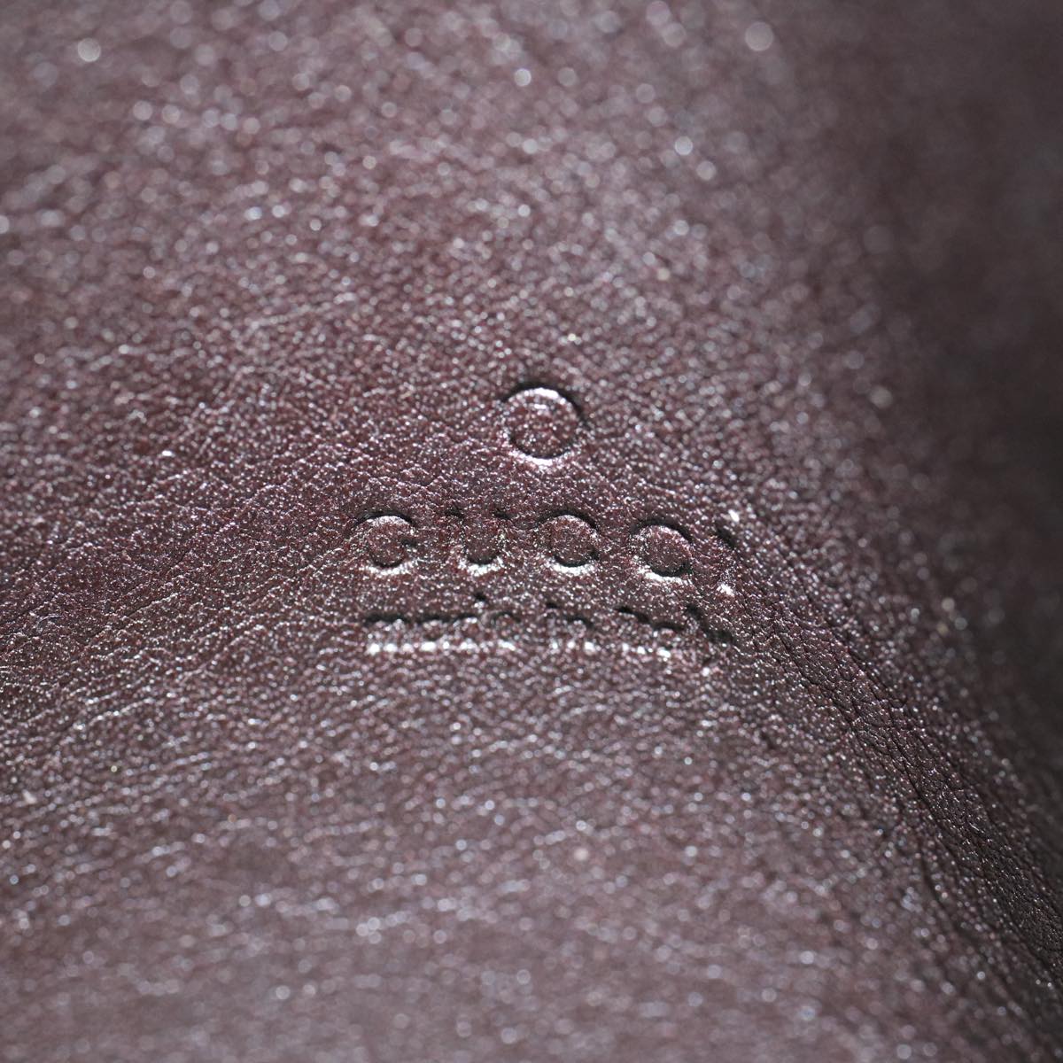 GUCCI GG Canvas Web Sherry Line Guccissima Passport Case Brown 308895 56691
