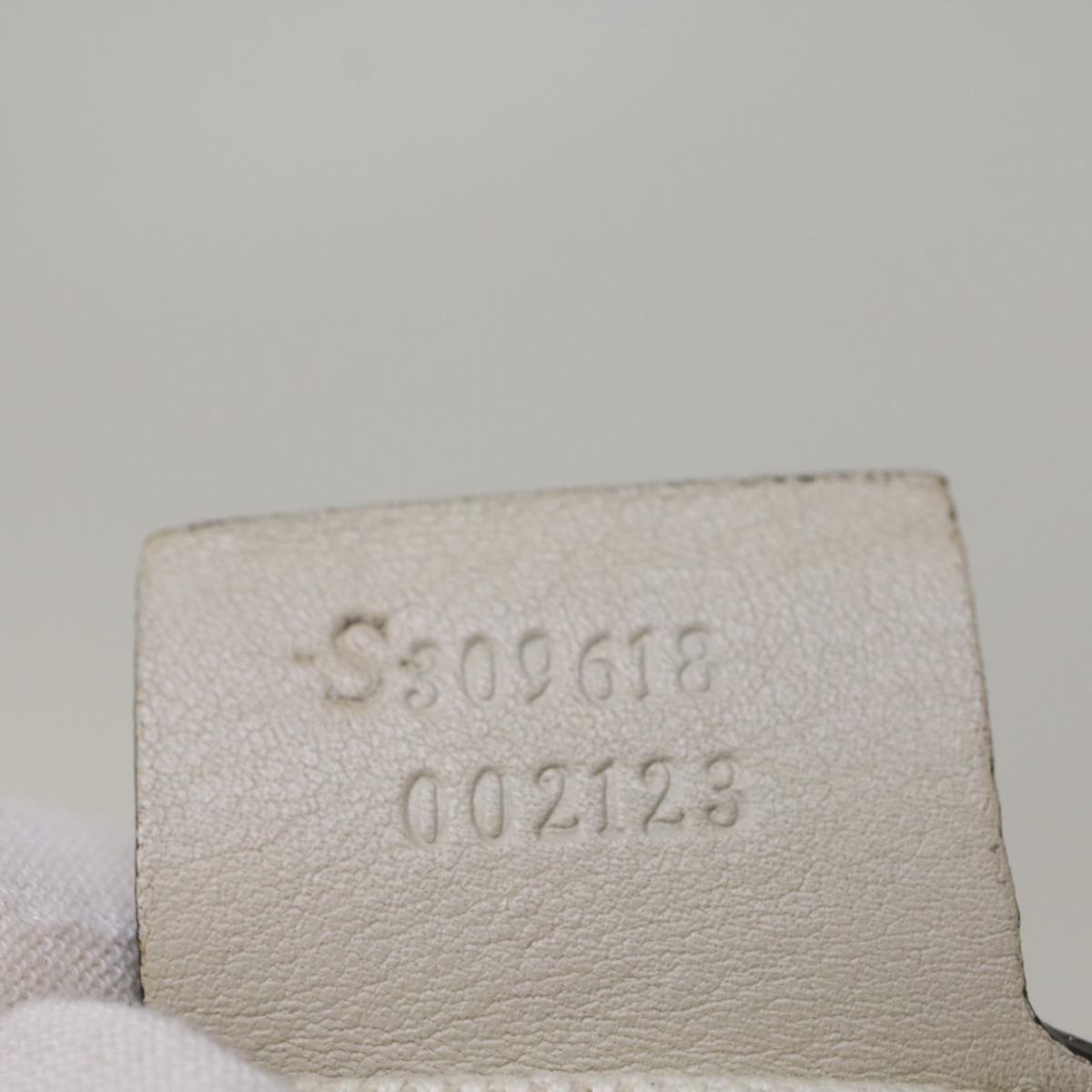 GUCCI GG Canvas Guccissima Shoulder Bag Ivory 309618 57767