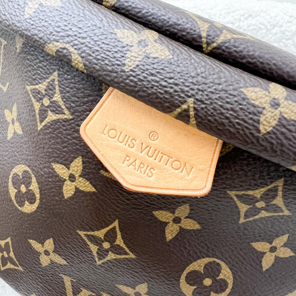 LV Bumbag in Monogram Canvas and GHW