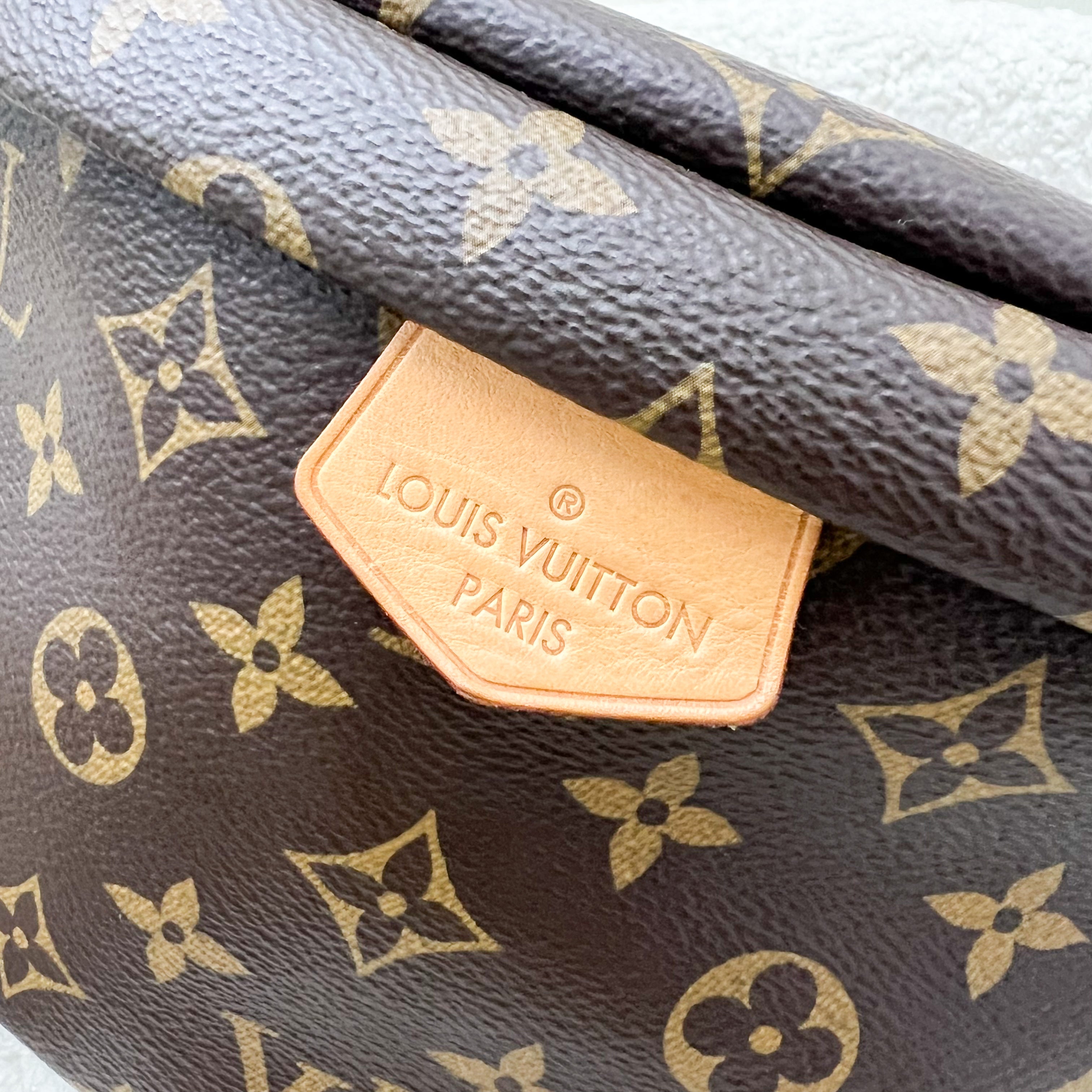 LV Bumbag in Monogram Canvas and GHW