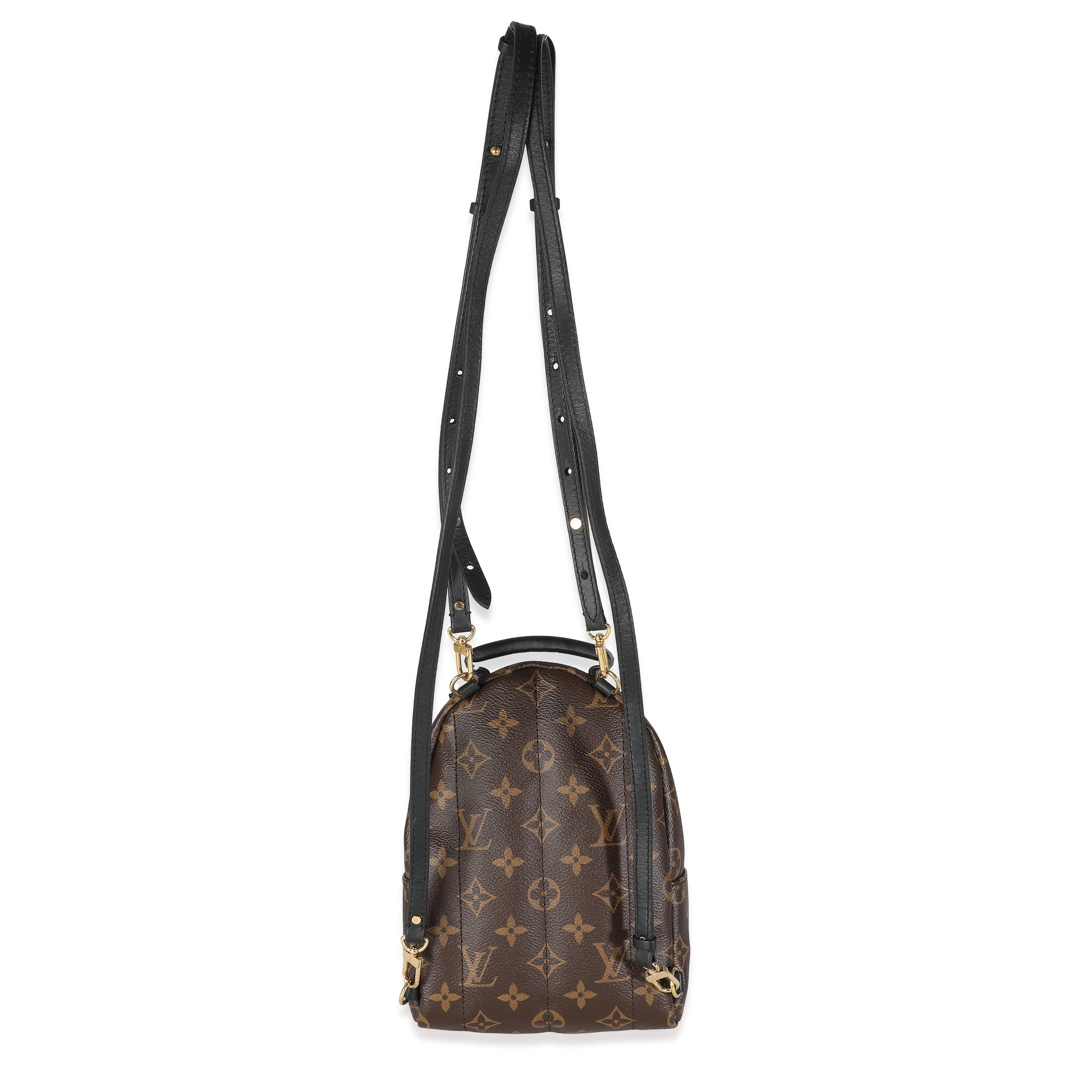 Louis Vuitton Monogram Canvas Mini Palm Springs
