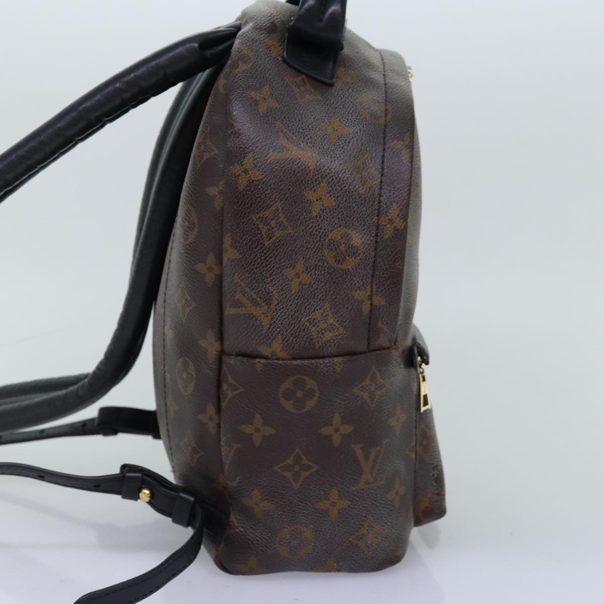 Louis Vuitton Palm Spring Backpack