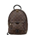 Louis Vuitton Monogram Palm Springs PM Rucksack M44871 Brown Black PVC Leather  Louis Vuitton