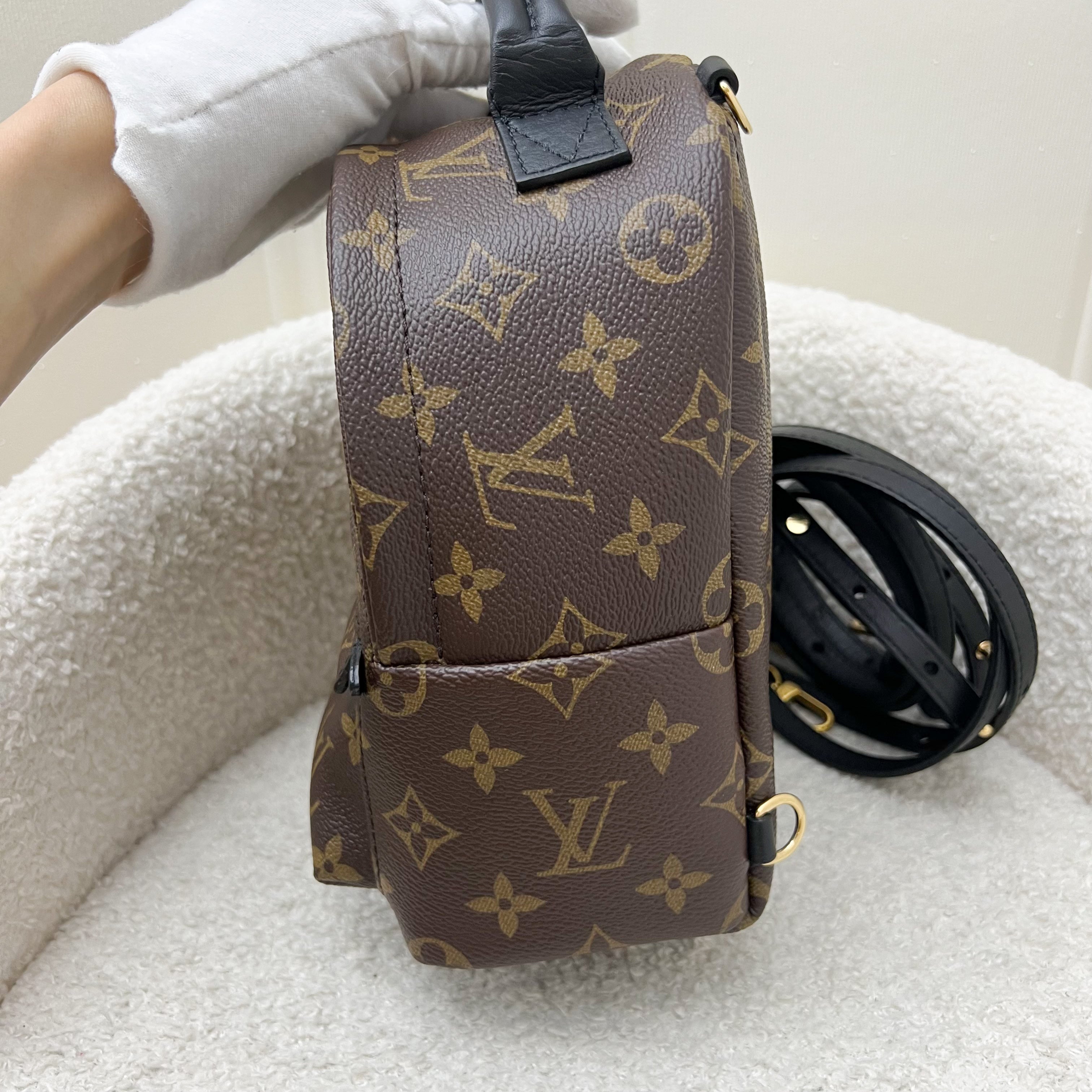 LV Palm Springs Mini Backpack in Monogram Canvas and GHW
