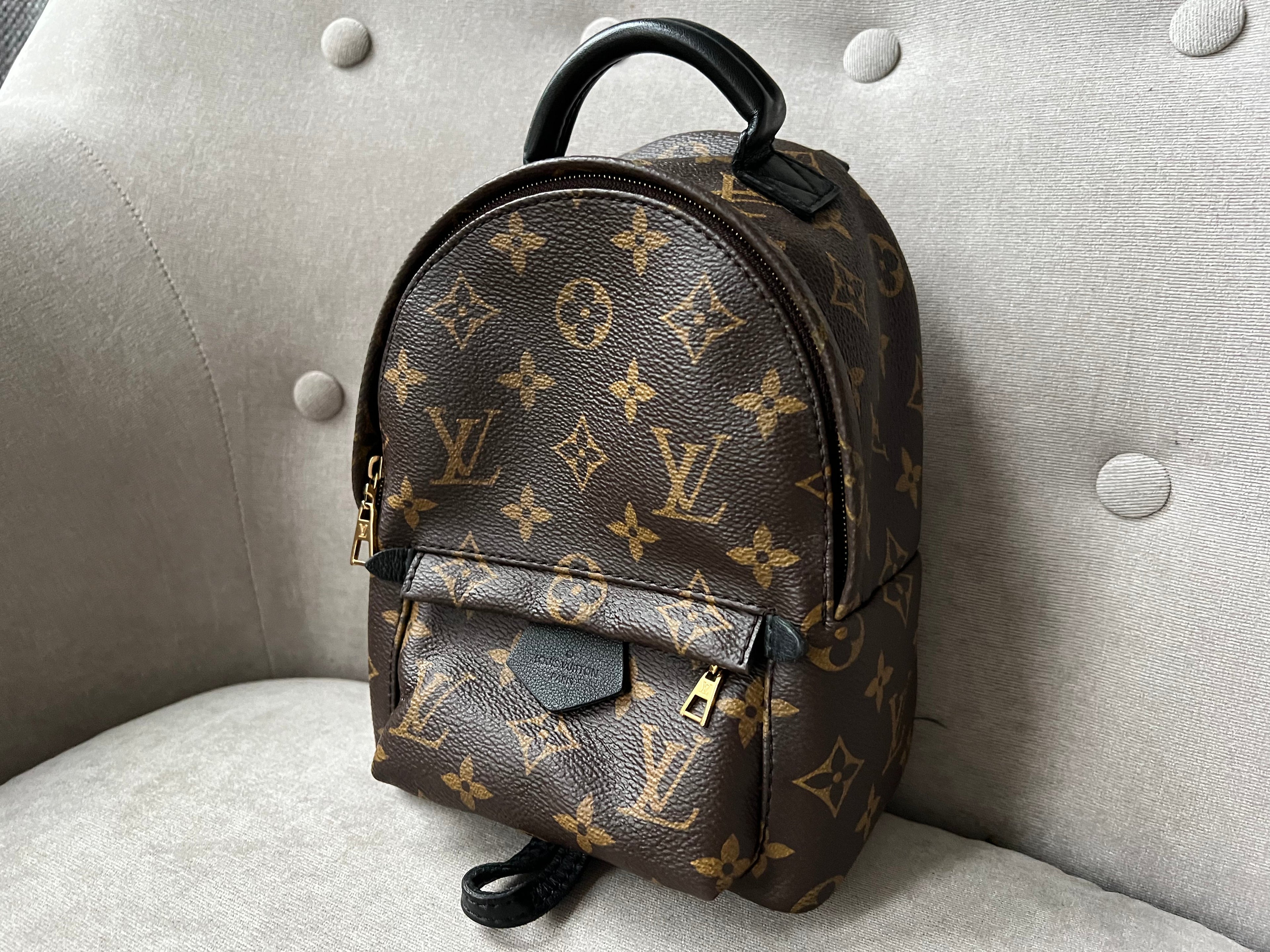 Louis Vuitton Palm Springs Mini Backpack - one strap (RRP £1,830)