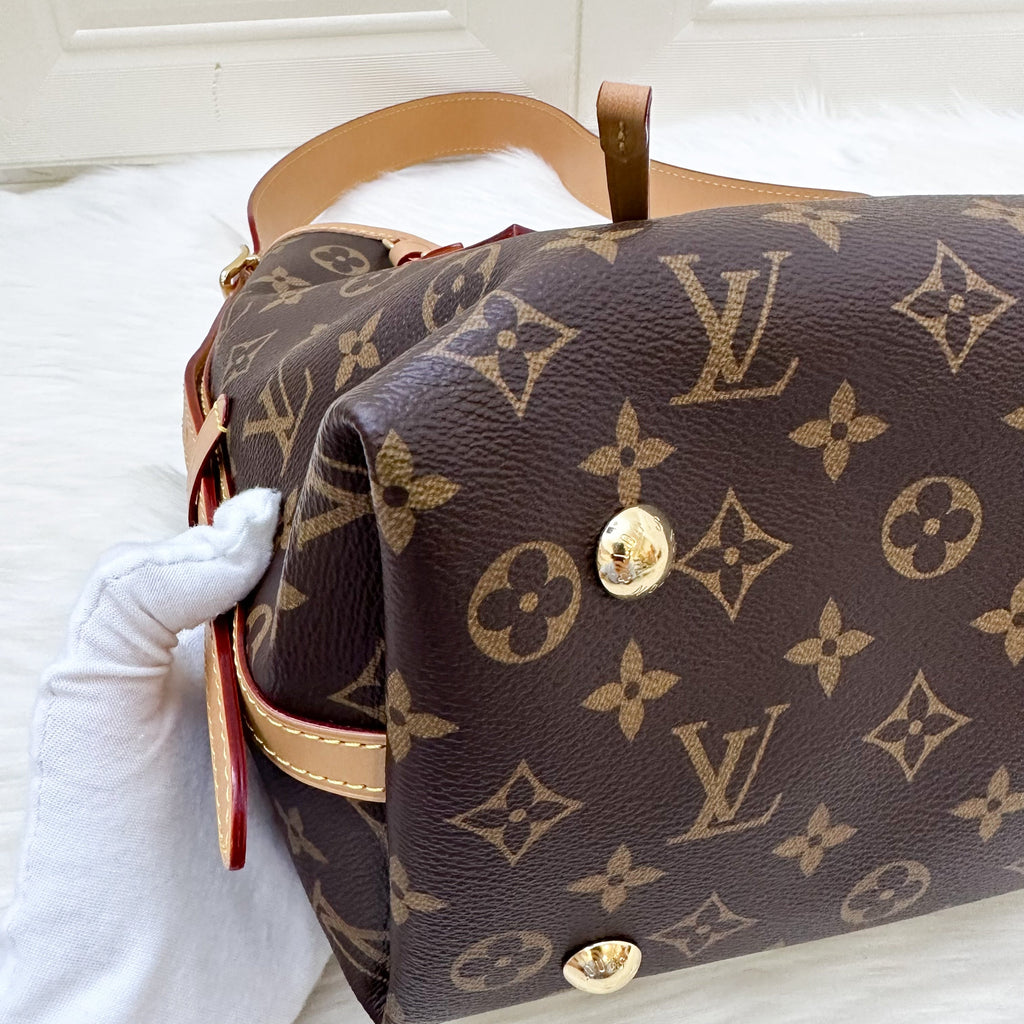 LV Carryall PM in Monogram Canvas and GHW